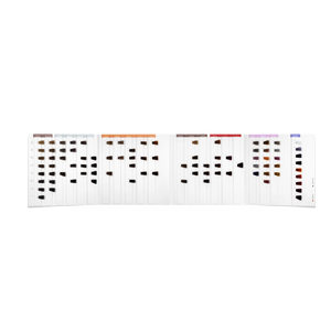 Shade Guides RJL Education