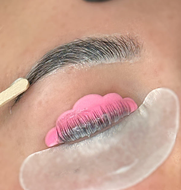 Brow Shape, Lamination & Lash Lift Course
